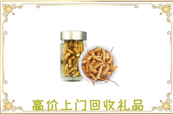 晋中周边回收虫草